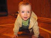 zv�t�it